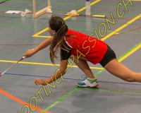 1BULLMINTON - 0352